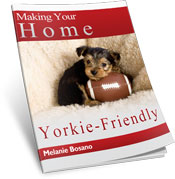 Making Your Home Yorkie Friendly